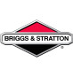 Briggs&Stratton