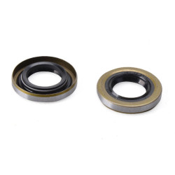 Uszczelniacz wału HQ40/51/55/254