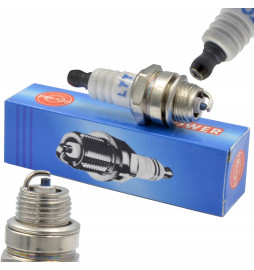 Świeca zapłonowa kosy,...