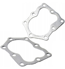 USZCZELKA GŁOWICY BRIGGS...