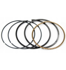 PIERŚCIENIE BRIGGS B&S...