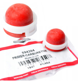 POMPKA PALIWA BRIGGS...