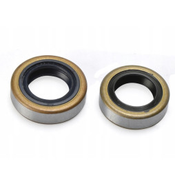 2 x USZCZELNIACZ TS400 TS410 TS420 15x24x7 06-04012