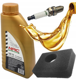 FILTR POWIETRZA BRIGGS 450e...