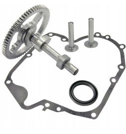 WAŁEK ROZRZĄDU BRIGGS...