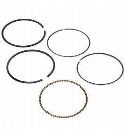 PIERSCIENIE BRIGGS'STRATTON...