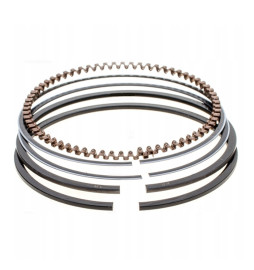 PIERŚCIENIE BRIGGS"STRATTON...