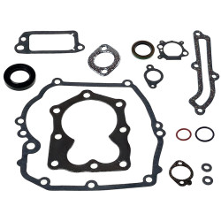 ZESTAW USZCZELEK BRIGGS'STRATON QUANTUM