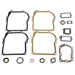 ZESTAW USZCZELEK BRIGGS STRATTON 450 500 CLASSIC