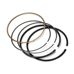 PIERŚCIENIE BRIGGS QUANTUM 790360 791098