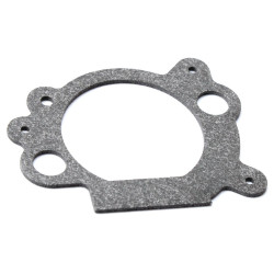 USZCZELKA FILTRA POWIETRZA BRIGGS STRATTON OHV