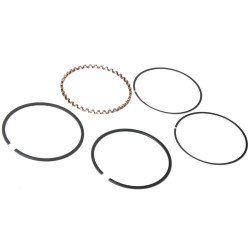 PIERSCIENIE BRIGGS 10-18KM +0,20