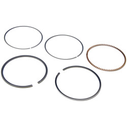 PIERŚCIENIE KPL KOSIARKI CHIŃSKIE NAC T575 T675