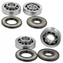 2 X LOZYSKO Z USZCZELNIACZEM 435 440